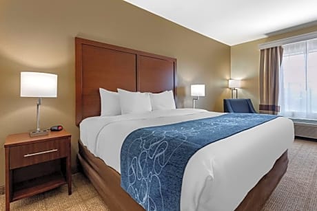 1 King Bed Nonsmoking Accessible