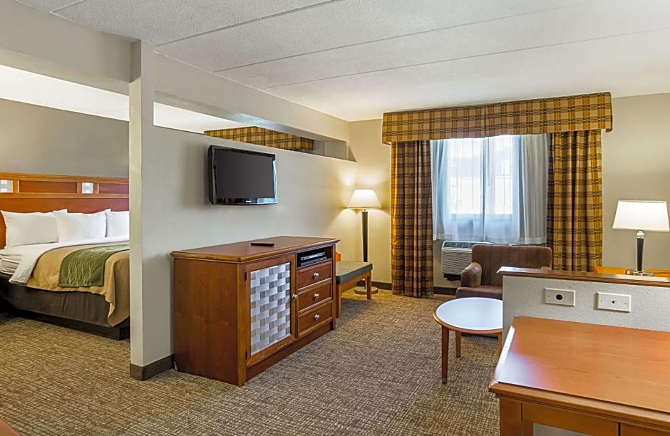 Comfort Inn Washington Dulles International