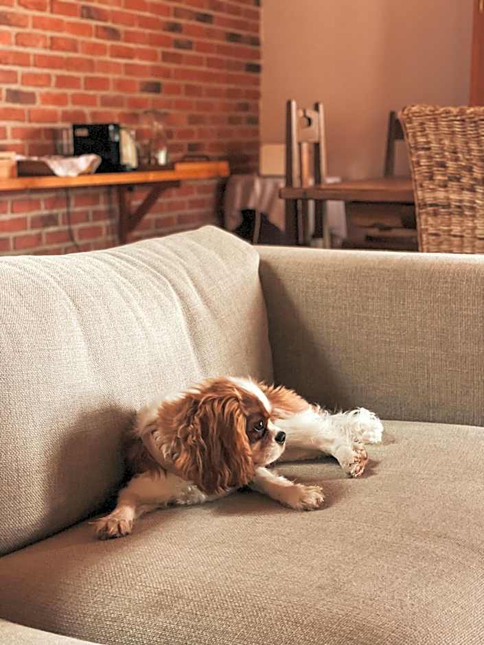 Quinta Amarela - B&B