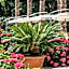 Hotel Lemongarden - Adults Only