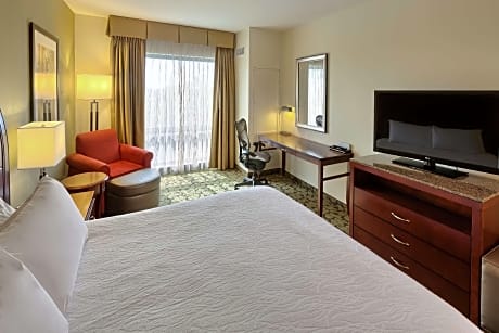 1 King Bed Junior Suite