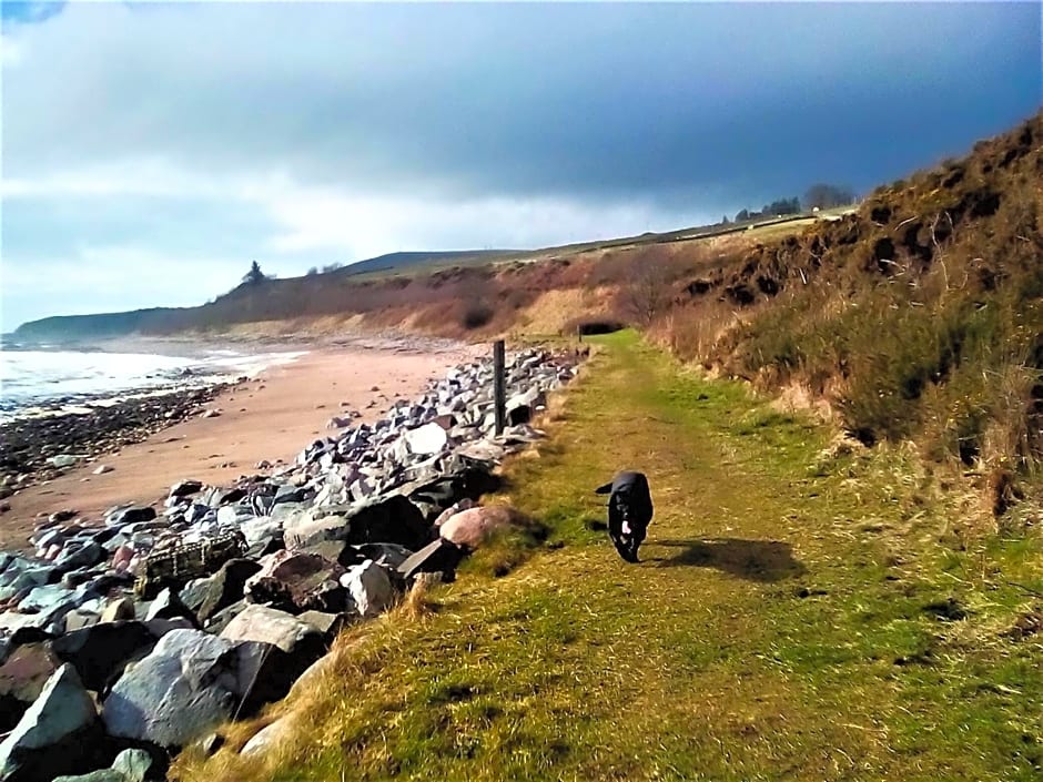 Sea Song, Selkie House