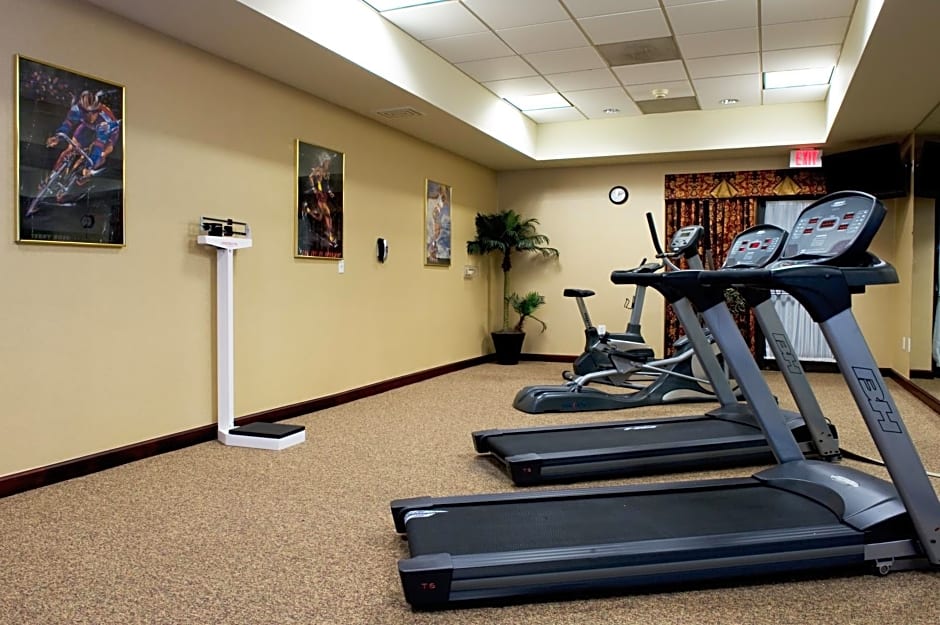 Holiday Inn Express Hotel & Suites Dallas Fort Worth Airport South, an IHG Hotel