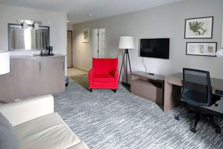 1 King Bed, Suite, Nonsmoking
