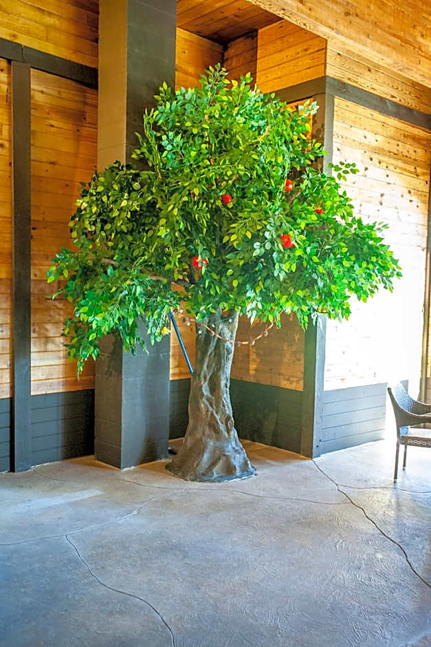 Bavarian Inn, Black Hills