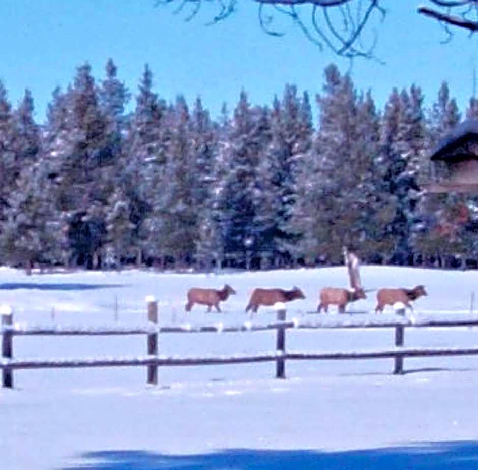 DiamondStone Guest Lodges