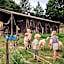 Ecolodge Terre et Eau