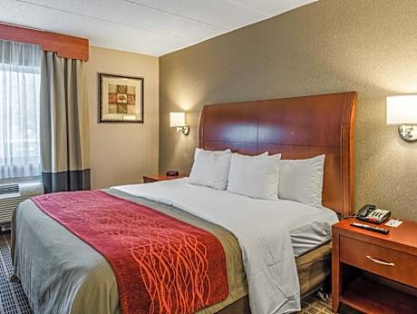 1 King Bed Suite Nonsmoking