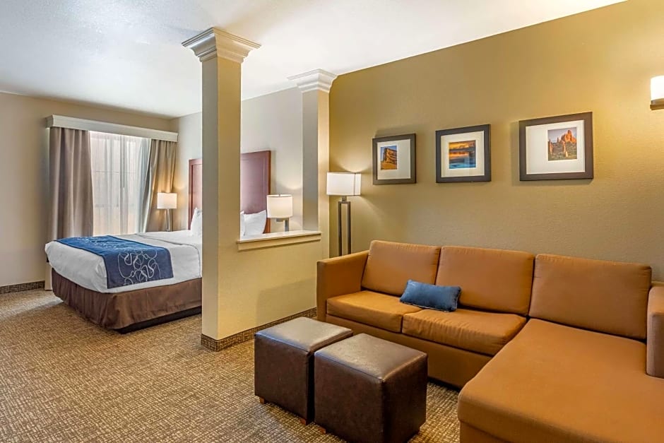 Comfort Suites Near Denver Downtown