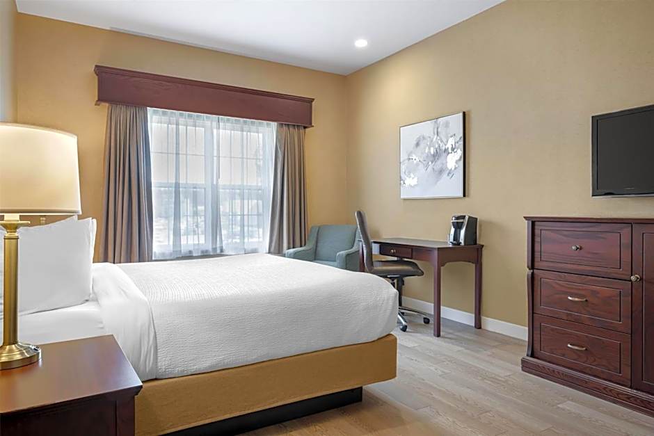 Best Western Plus Fredericton Hotel & Suites