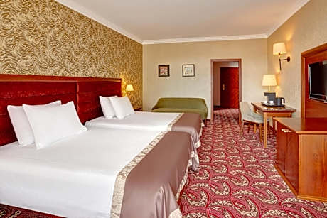 Superior Double or Twin Room with Balcony and Park View
