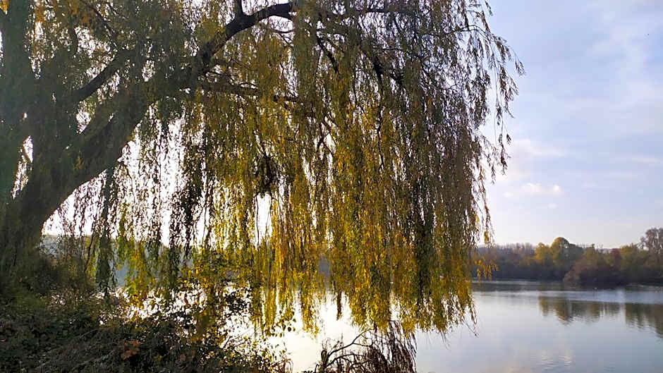 Résidence Carouge Appart Hôtel