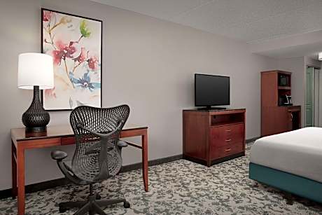 1 King Bed
