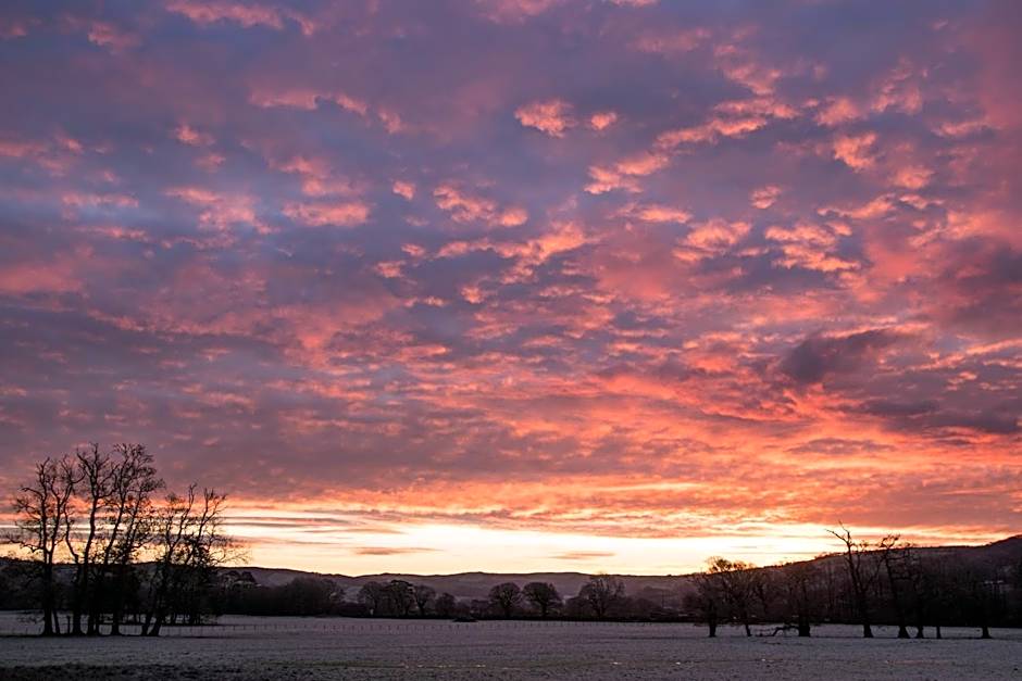 Plas Dolau Country Estate