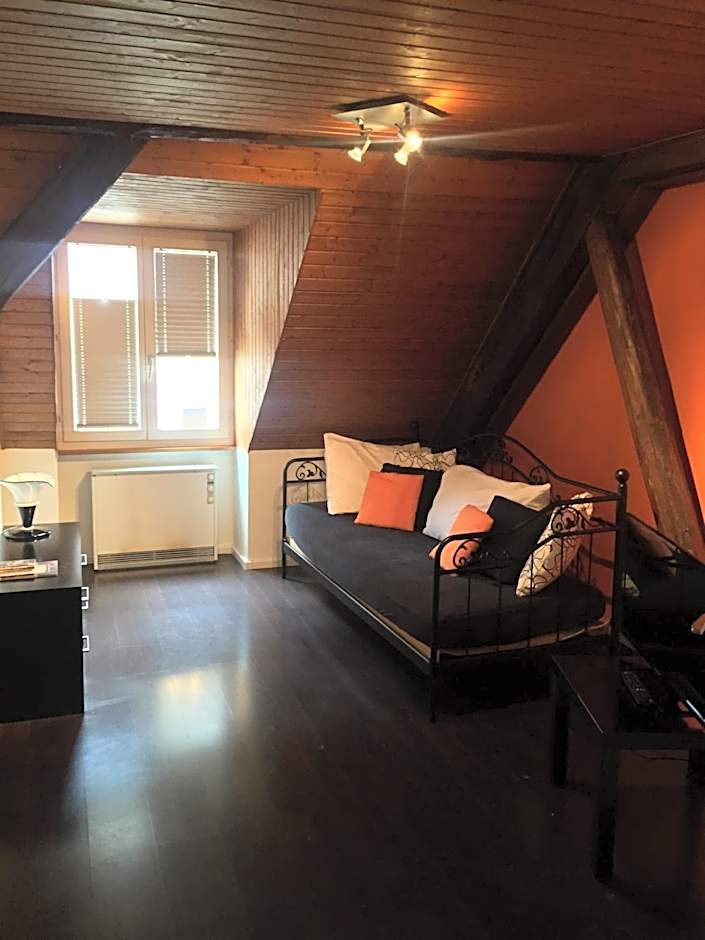 Hôtel-Restaurant Le Lion d'Or