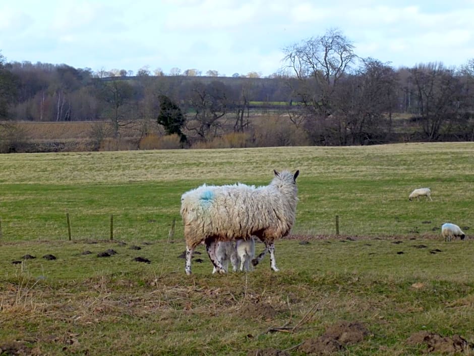 Mickley Bed and Breakfast