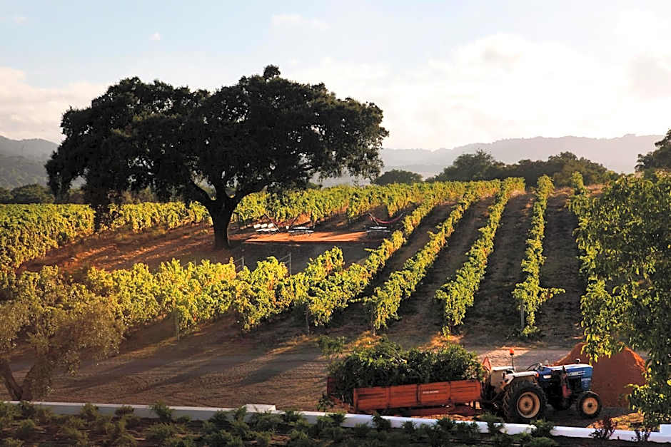 Hotel Casa Palmela  Small Luxury Hotels (Hotel & Villas)