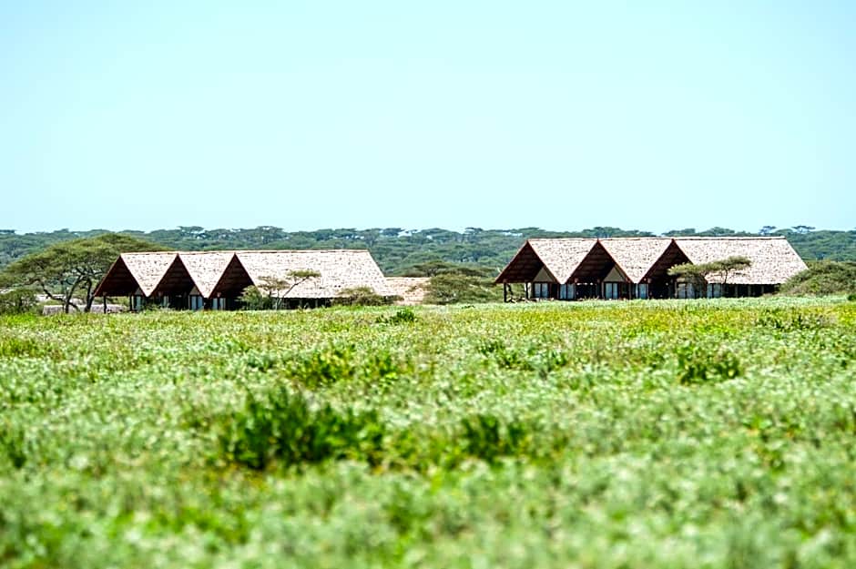 Lake Ndutu Luxury Tented Lodge