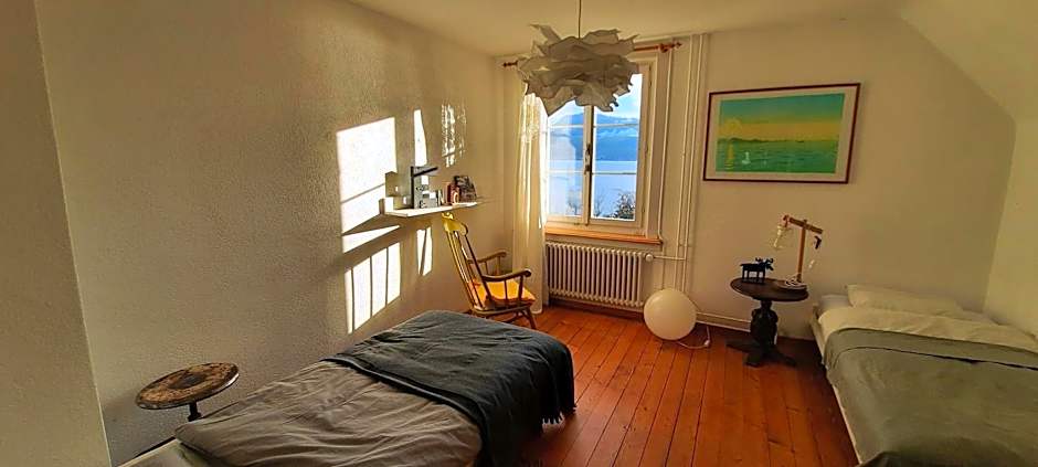 1 Double Bed or 2 Beds, Lake View — 7 fotoğraftan 1. fotoğraf
