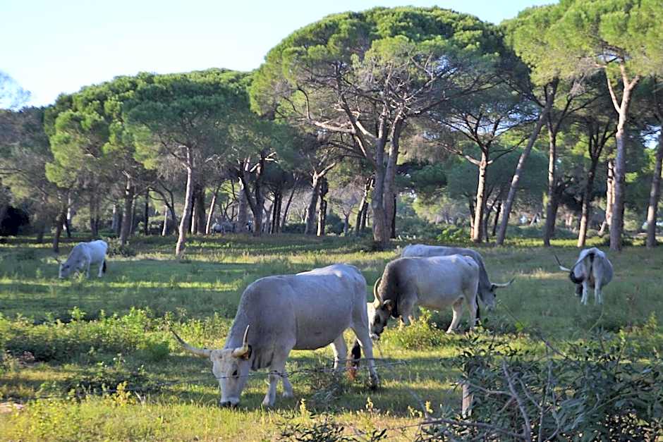 Relais Ciavatta Country Hotel