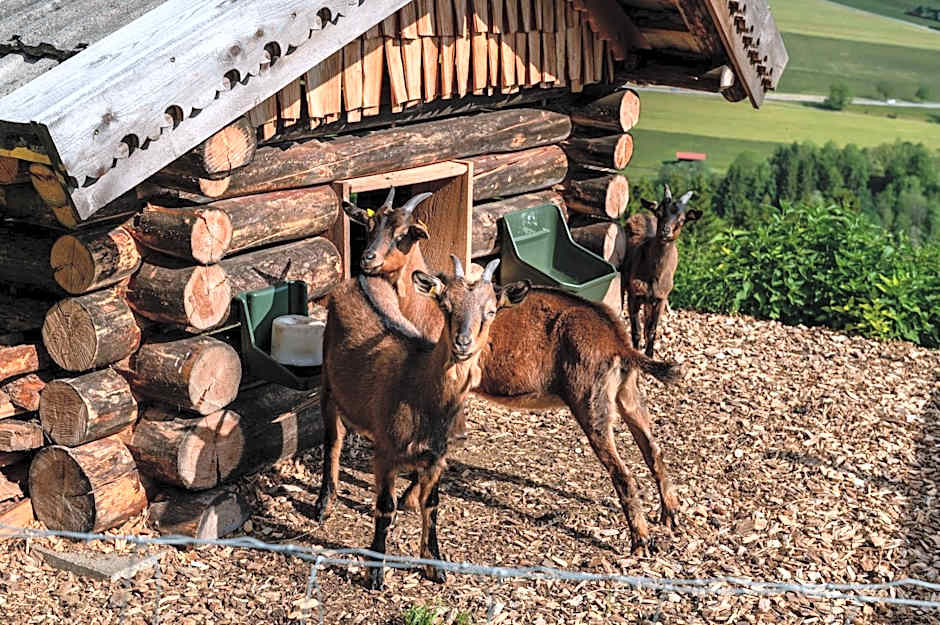 Panoramahotel Stocker