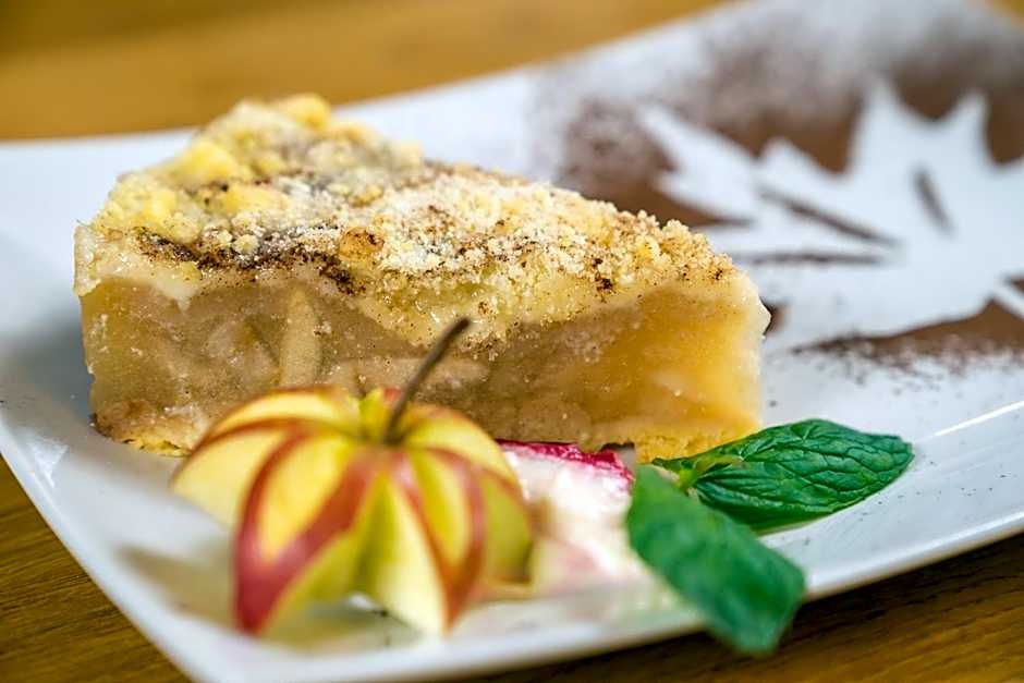 Willa Pod Miedzą 200 m do Term