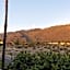 Courtyard by Marriott Palm Springs