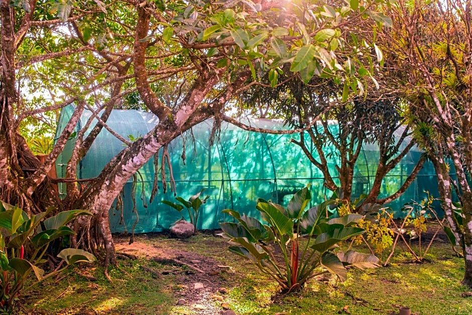 Paraiso Volcano Lodge