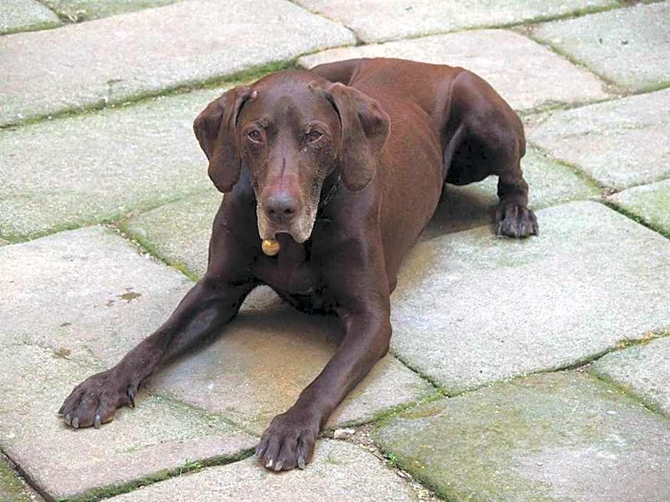 Château des Marcilly Talaru