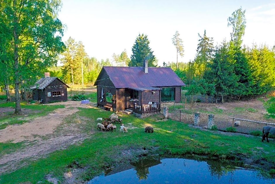 Private Farm Jakuzzi Sauna in the forest