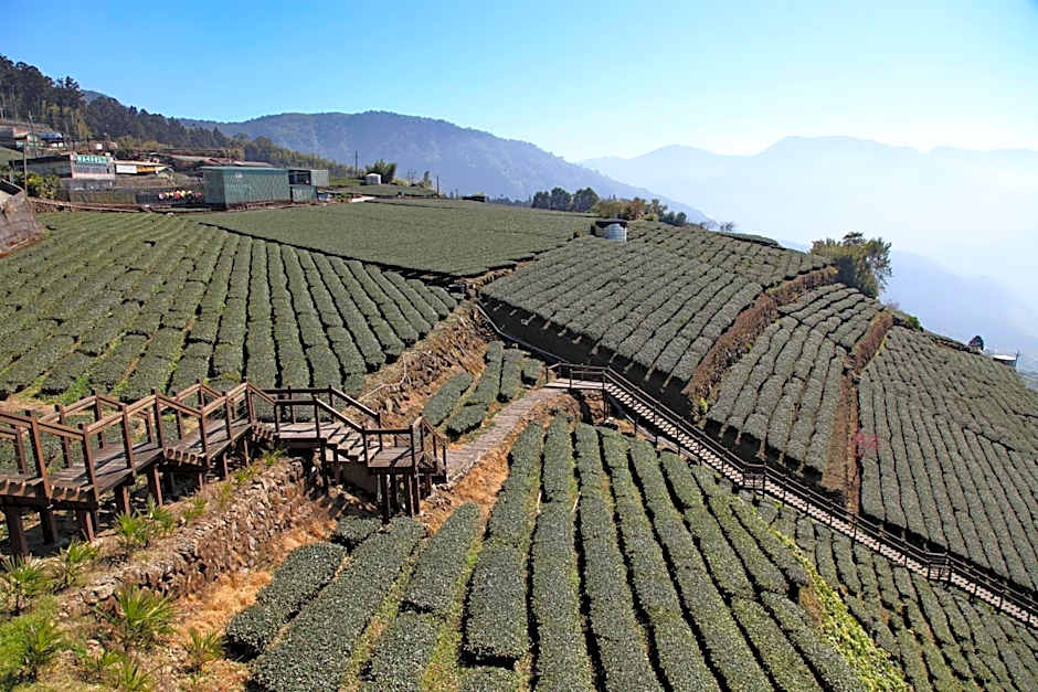 Alishan B&B YunMinGi