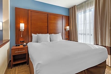 1 King Bed, Suite, Nonsmoking