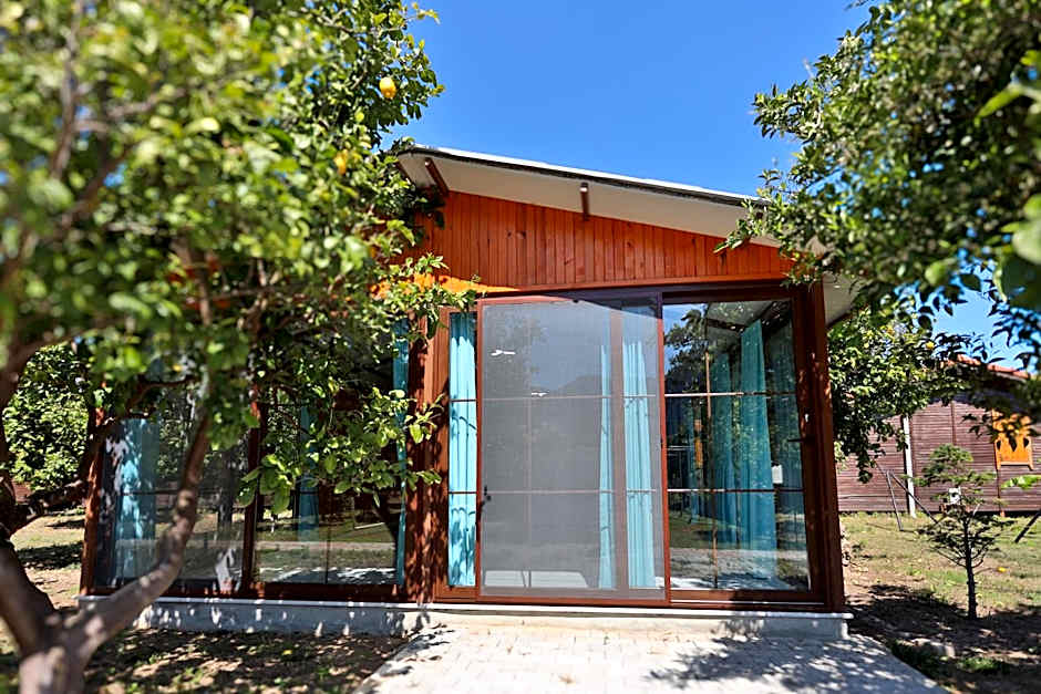 Baris Pension & Bungalows