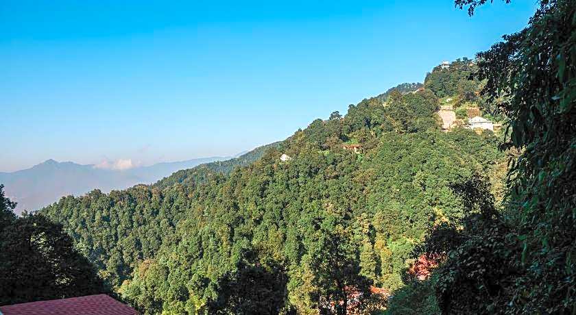 Hotel Shiva Continental