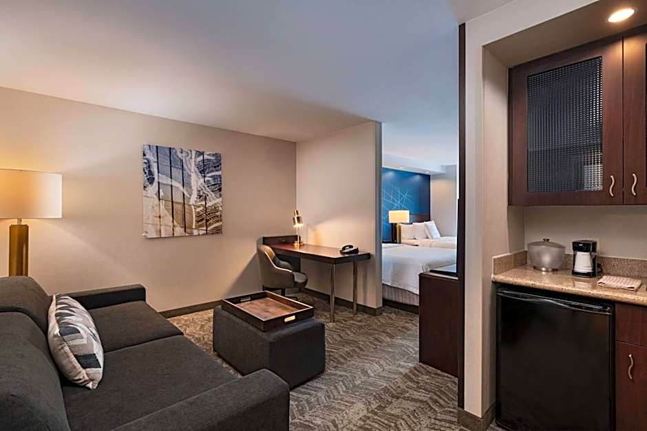 SpringHill Suites by Marriott Boise West/Eagle