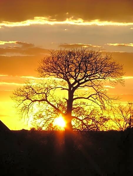 Turksvygrivier Safari's