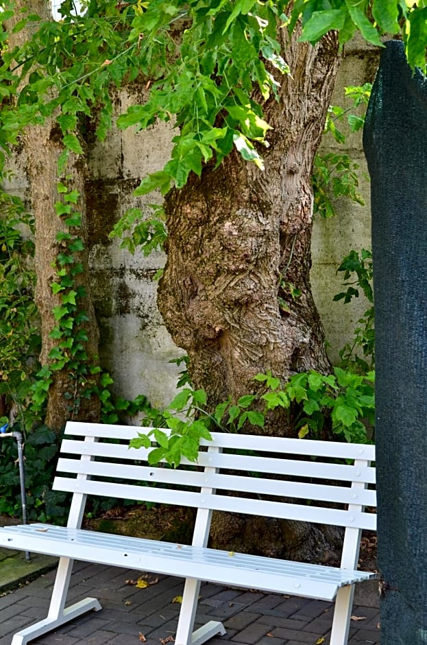 Hotel Casa Mia