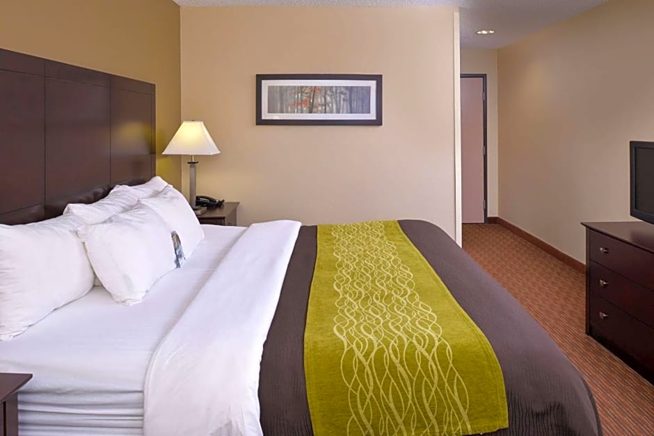 Comfort Inn and Suites Joplin