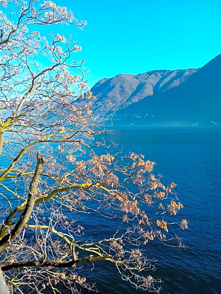 The Convo Lake Como