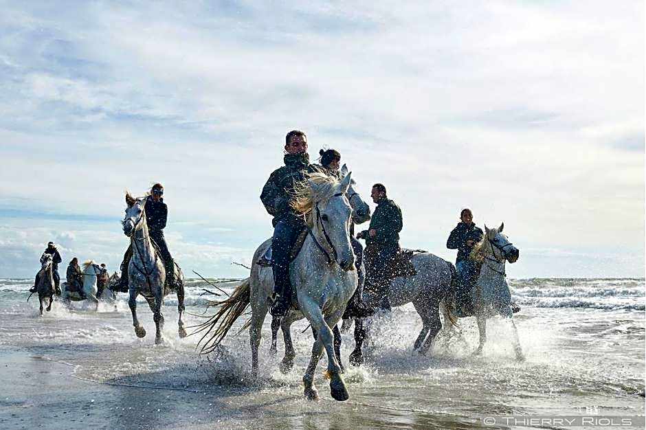 Hôtel Le Neptune en Camargue