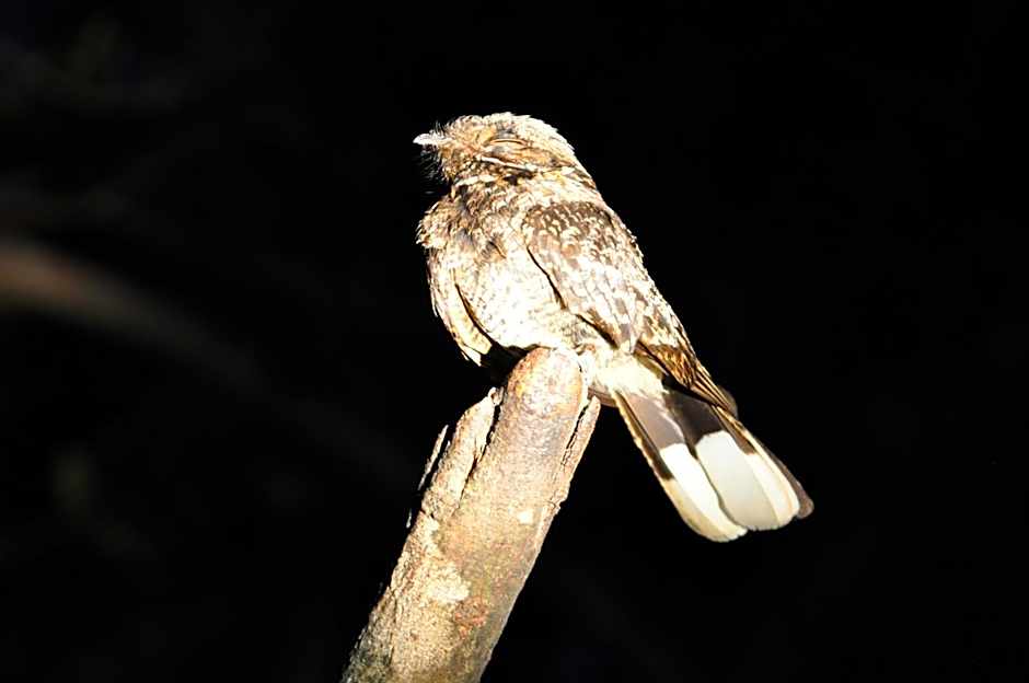 Hopewell Private Game Reserve