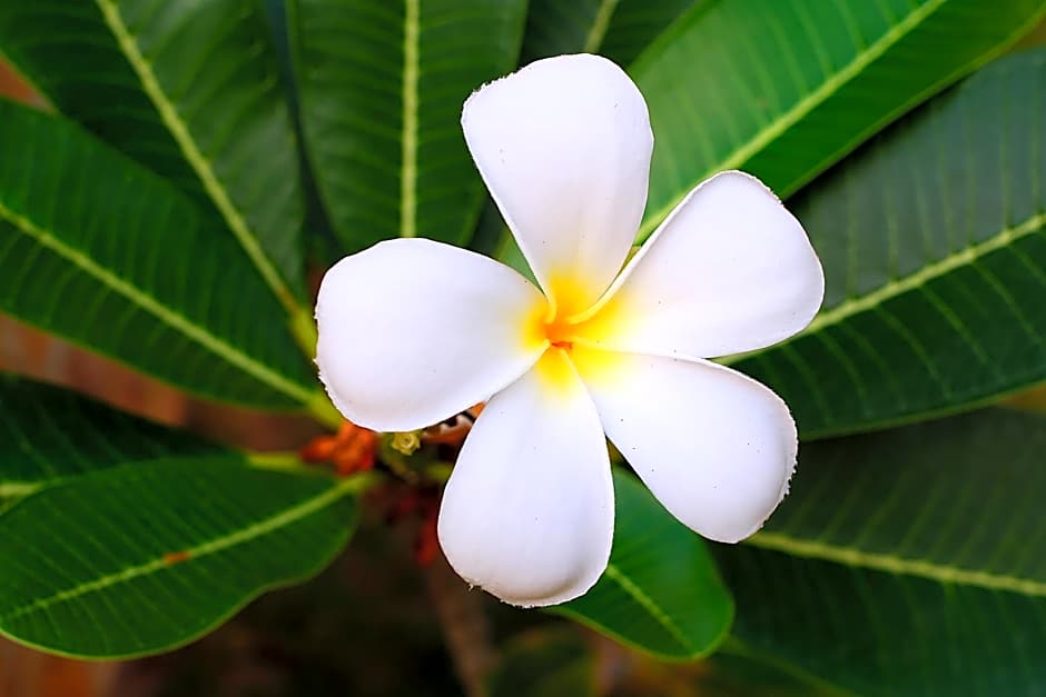 Ayu Hotel Karimunjawa