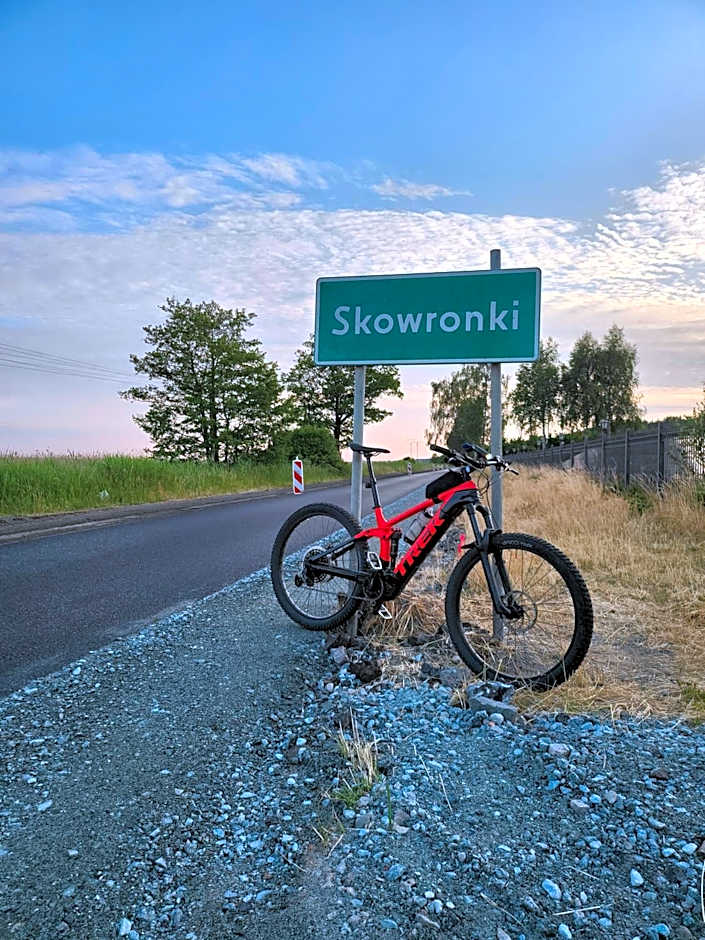 Domki Skowronki