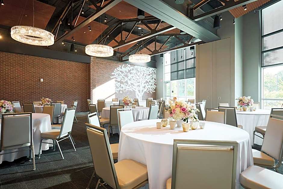 Archer Hotel Tysons