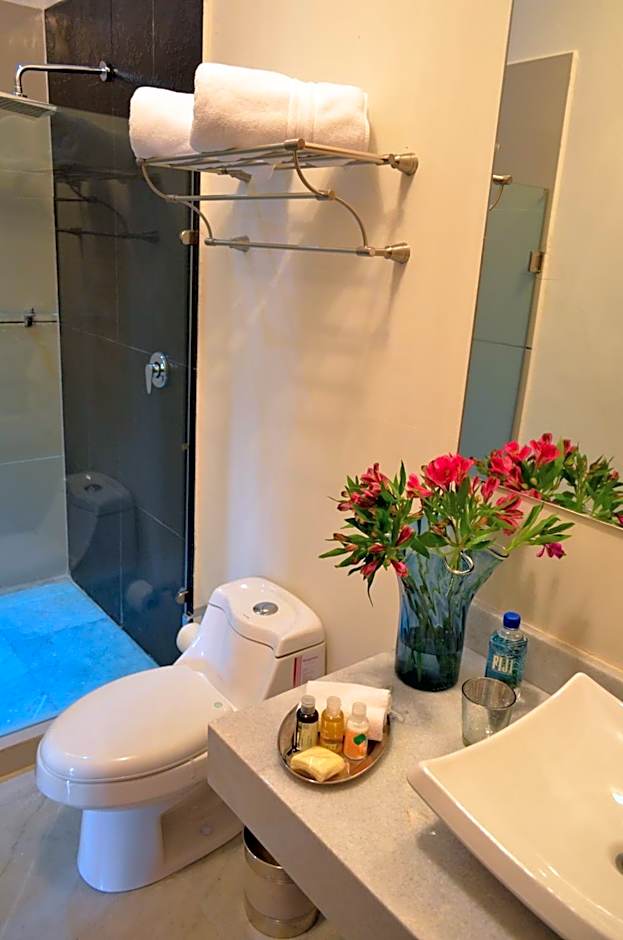 Hotel Boutique Casa del Jardín Aguascalientes