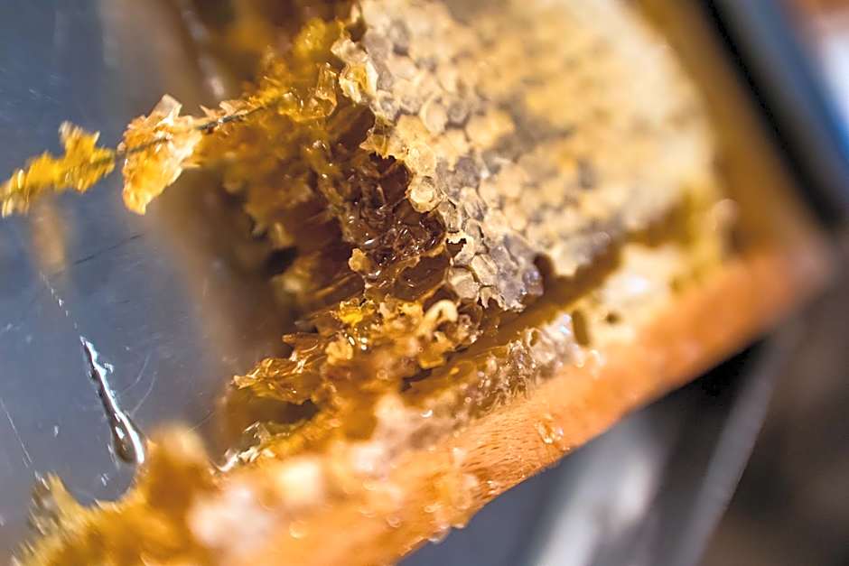 Hotel Kuźnia Napoleońska