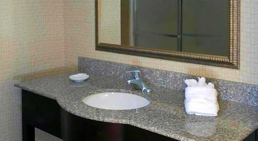 Hampton Inn By Hilton And Suites Savannah-Airport