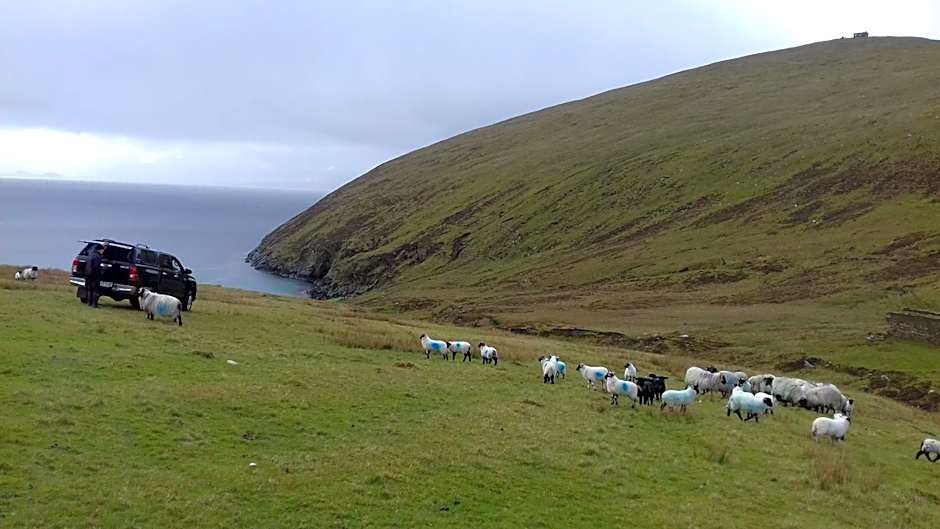 Achill West Coast House