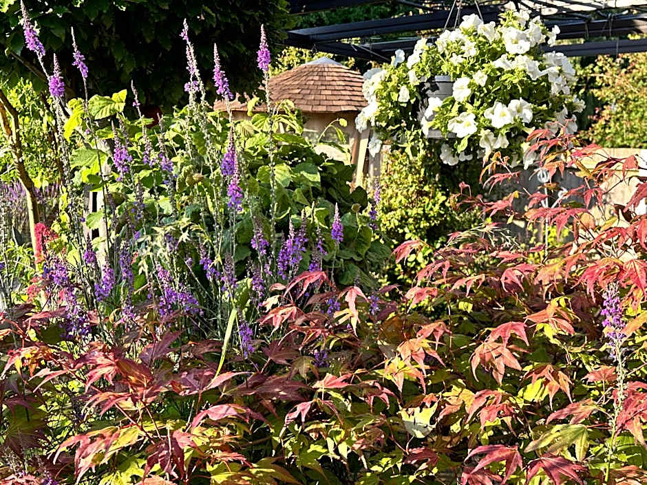 Bybrook Barn Bed & Breakfast