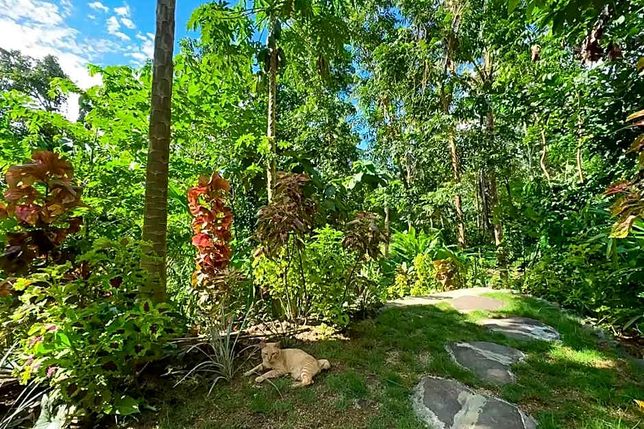 De Chicktoria Hostel